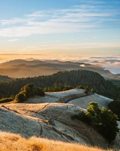 shounen21-1092499-unsplash